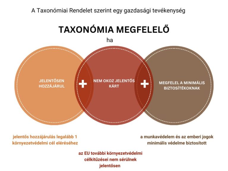 Taxonómia megfelelő